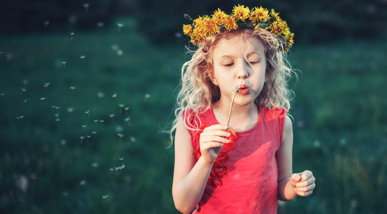 "Little Sprout's Budding Herbalist™" Getting to Know Your Herbal Allies: Dandelion