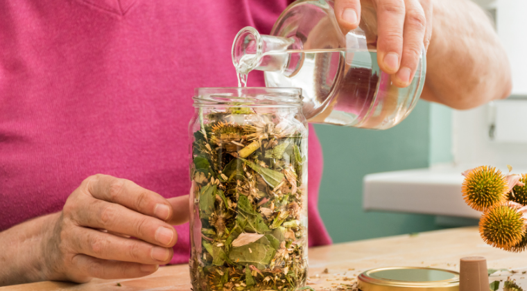 "Wise Oaks™" Introduction to Herbalism for Adults