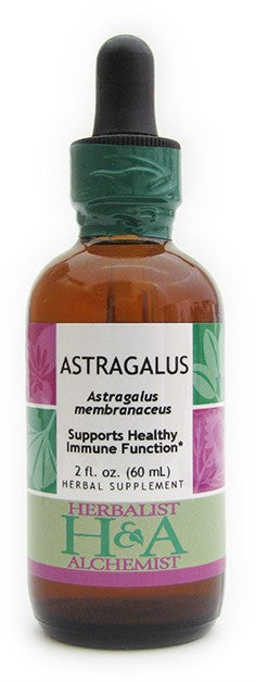 Astragalus (dried root)