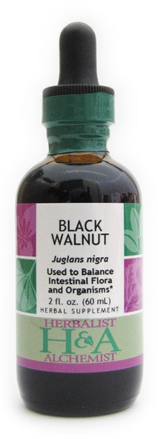Black Walnut (fresh or dried seed hull)