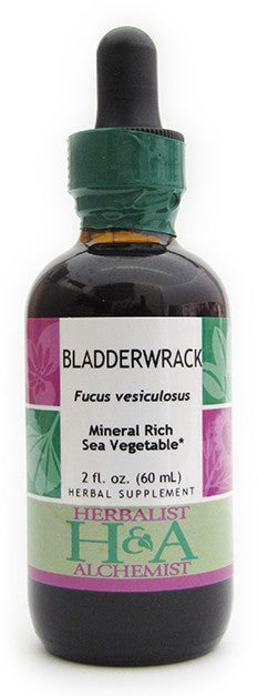 Bladderwrack (dried seaweed)