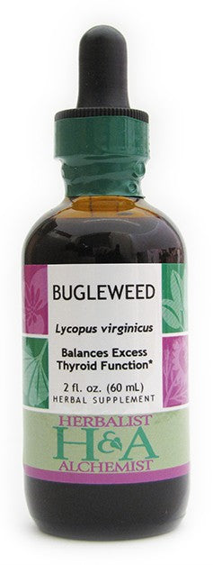 Bugleweed (fresh flowering tops or dried herb)