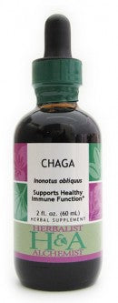 Chaga (dried fungus)