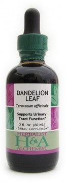 Dandelion Leaf (fresh leaf)
