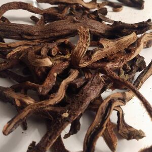 Drynaria Rhizome, Gu Sui Bu (Drynaria fortunei), Organic