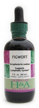 Figwort (fresh or dried flowering tops)