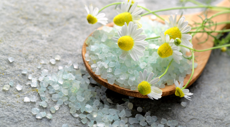 "Little Sprout's Budding Herbalist™" Getting to Know Your Herbal Allies: Chamomile