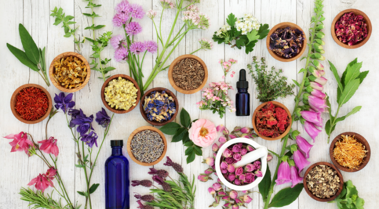 Introduction to Herbalism "LITE"