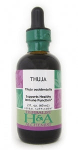 Thuja (fresh leaf)