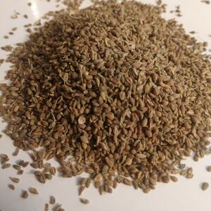 Anise Seed (Pimpinella anisum) Whole, Organic