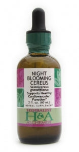 Night-Blooming Cereus (fresh stem)