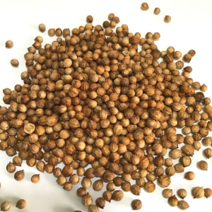 Coriander Seed (Coriandrum sativum), Whole, Organic