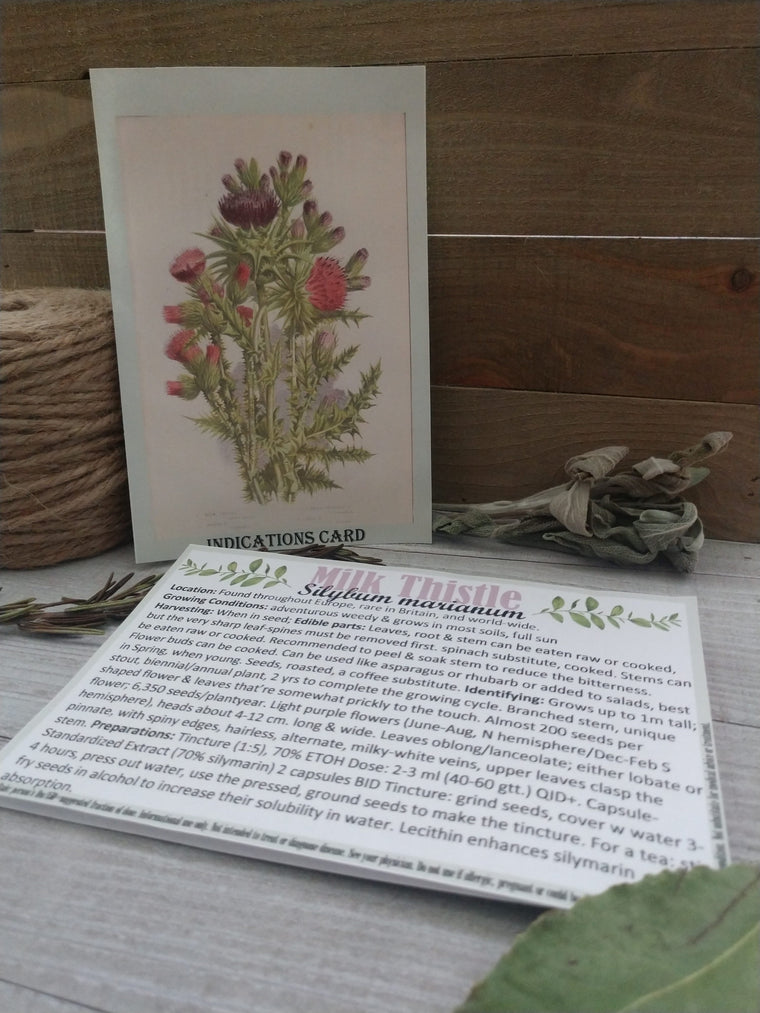 Herb Indication and Wildcrafting Card Set