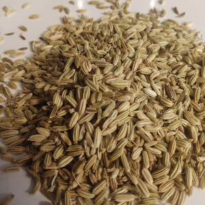 Fennel Seed (Foeniculum vulgare) Whole, Organic