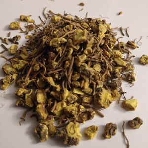 Goldenseal Root (Hydrastis canadensis) Organic