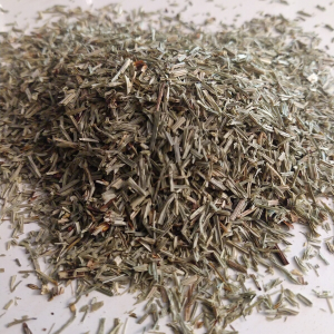 Horsetail Herb Cut & Sifted (Shavegrass) (Equisetum arvense) Organic