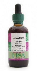 Lomatium (dried root)