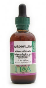 Marshmallow (dried root)