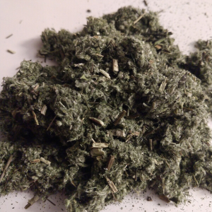Mugwort (Artemisia vulgaris) Organic