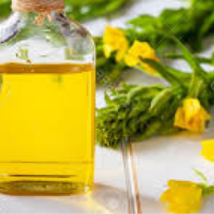 Evening Primrose Oil (Oenothera biennis) Organic