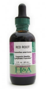 Red Root (fresh root)