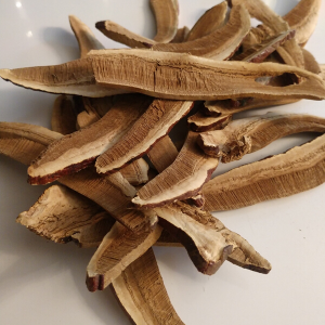 Reishi Mushroom (Ganoderma lucidum) Slices, Organic
