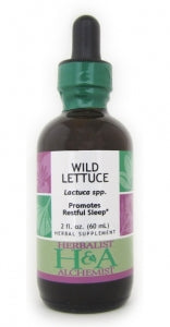 Wild Lettuce (fresh herb)
